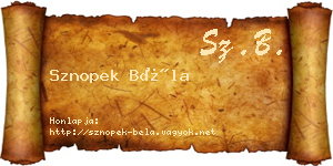 Sznopek Béla névjegykártya